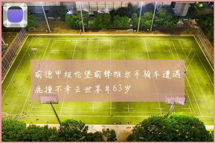前德甲纽伦堡前锋维尔辛骑车遭遇鹿撞不幸去世享年63岁